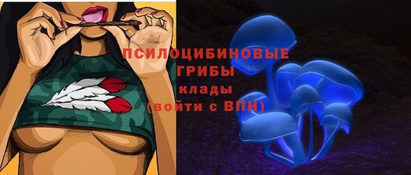 твердый Кулебаки