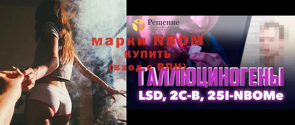 твердый Кулебаки