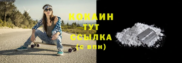 твердый Кулебаки